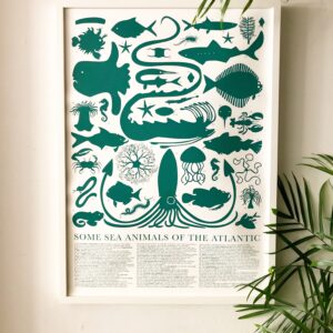 Ocean Creatures Poster