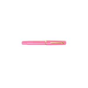 Piston Fill Fountain Pen Pink