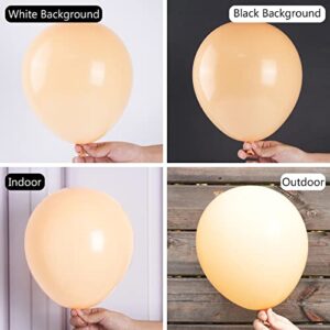 neutral toned balloons 50 pcs 12 inch for decoration
