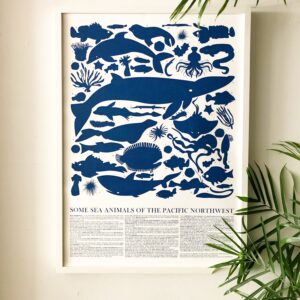 Ocean Creatures Poster
