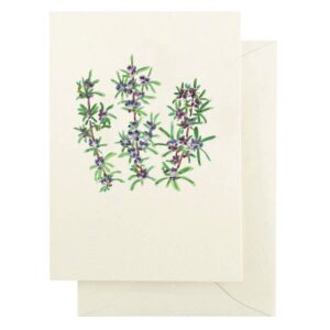Pollinator Series