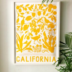 California Nature Poster