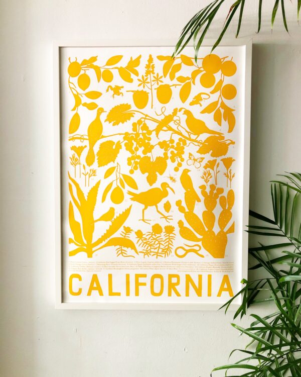 California Nature Poster