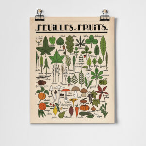 Leaves and Fruits Art Print