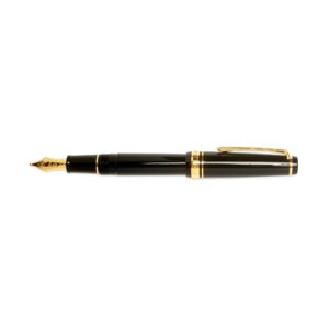 slim fountain pen with gold accents