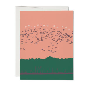Flying Birds