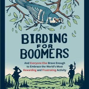 Bird Watching Guide for Beginners