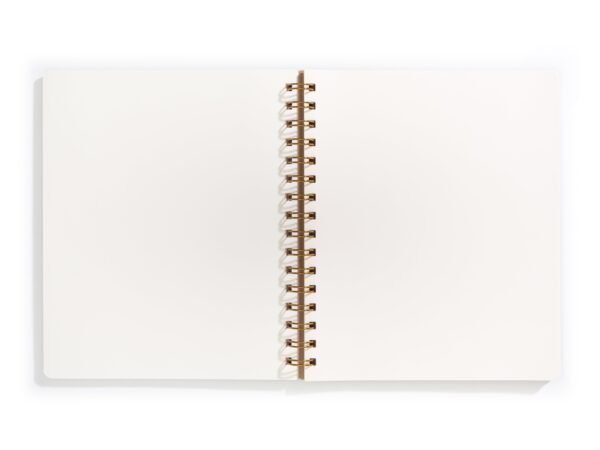Standard Journal Evening - Image 4
