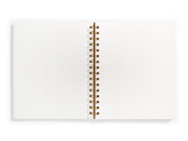 Standard Journal Evening - Image 5