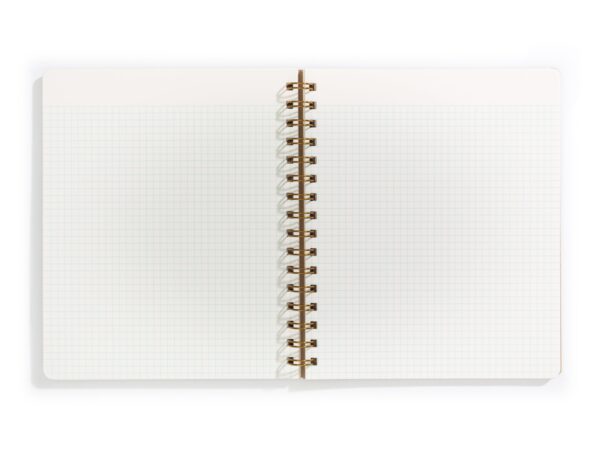 Standard Journal Evening - Image 6