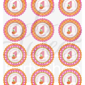 Pumpkin Themed Birthday Party Stickers Set of 24