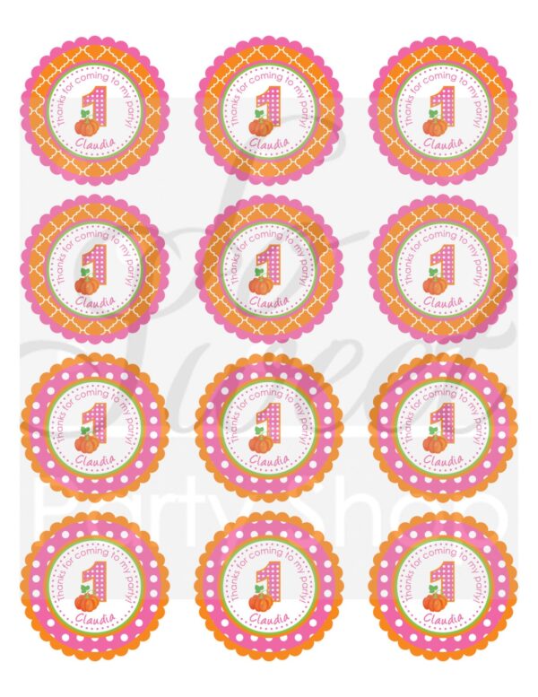 Pumpkin Themed Birthday Party Stickers Set of 24