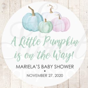 Baby Shower Favor Stickers - Gender Reveal Set