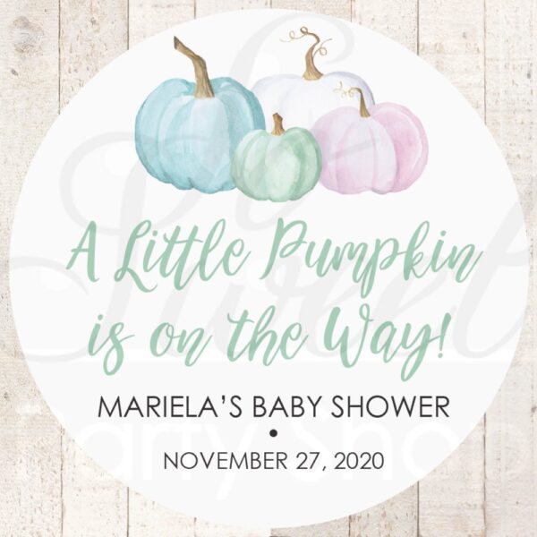 Baby Shower Favor Stickers - Gender Reveal Set