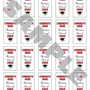 graduation sanitizer labels set of 20