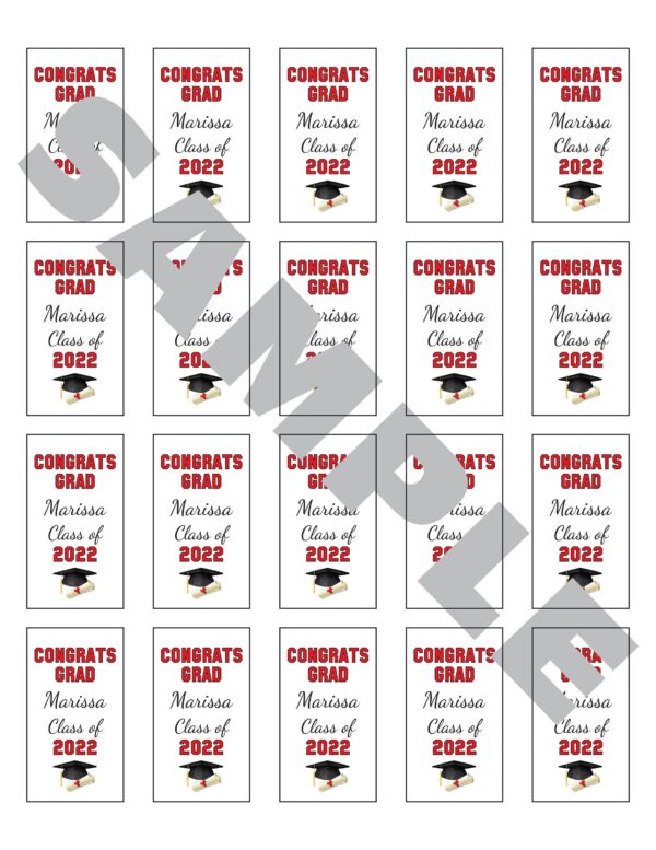 graduation sanitizer labels set of 20