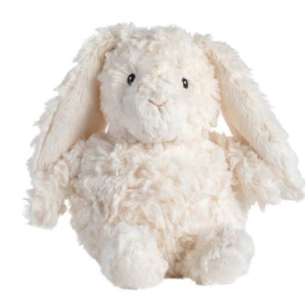 cute fluffy bunny