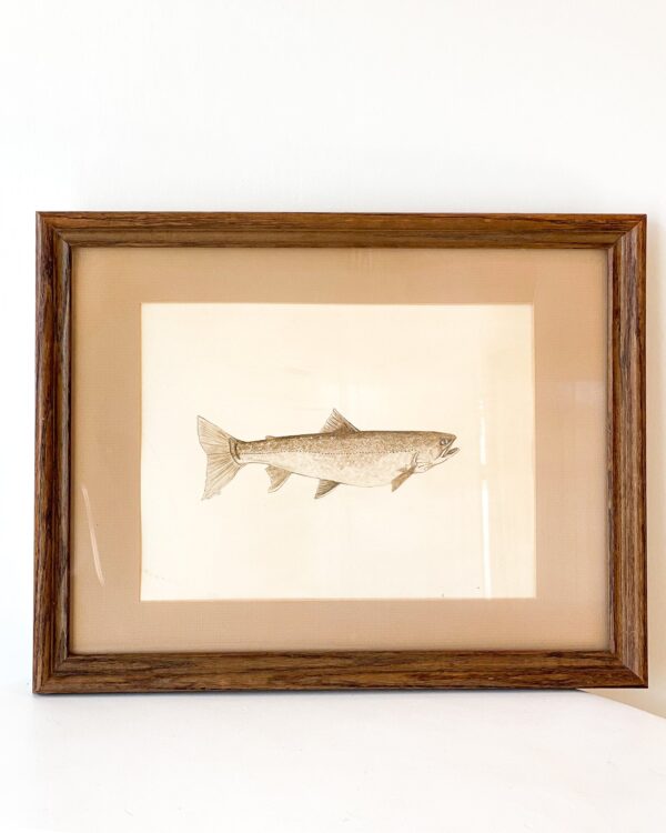 Framed Fish Art - Image 4
