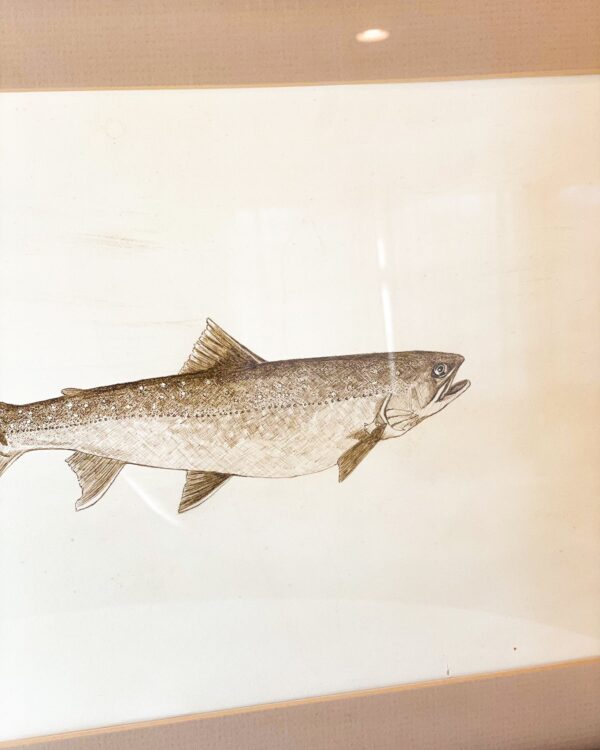 Framed Fish Art - Image 3