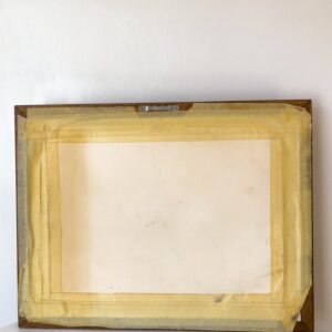 Framed Fish Art