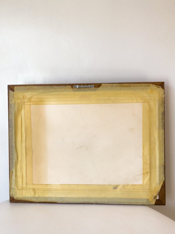 Framed Fish Art