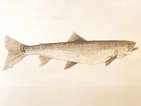 Framed Fish Art - Image 2