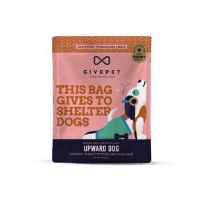 dog soft chewy trainers