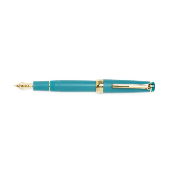 professional slim fountain pen medium fine